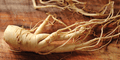 Ginseng